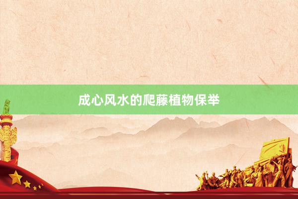成心风水的爬藤植物保举