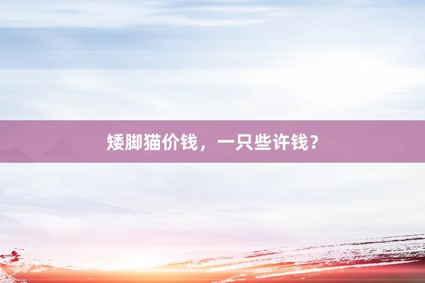 矮脚猫价钱，一只些许钱？