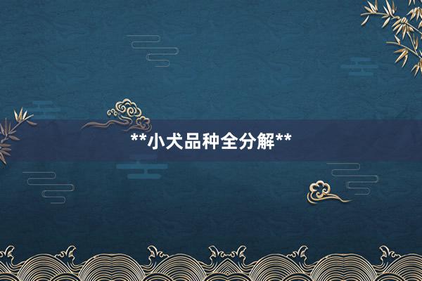 **小犬品种全分解**