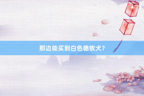 那边能买到白色德牧犬？
