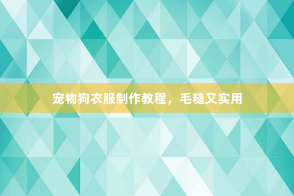 宠物狗衣服制作教程，毛糙又实用